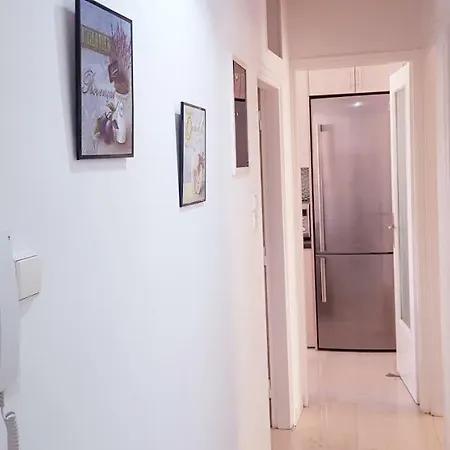 Spacious In The Historical Center Of *